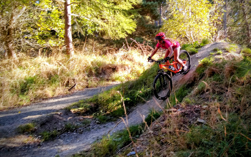 Hamilton Park Bike Trail Gore New Zealand